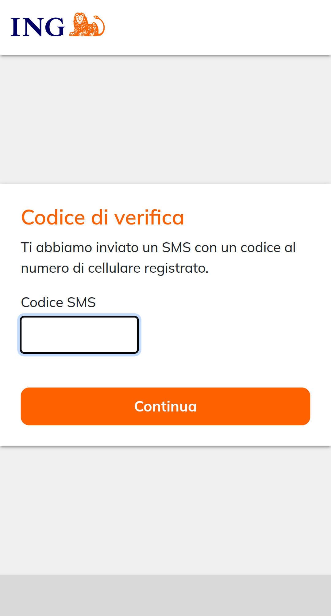 Figura 4 – Inserimento codice token